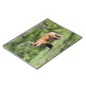 アカギツネのキット ノートブック (左側)