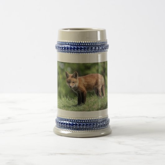 アカギツネのキット ビールジョッキ (中央)