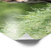 アカギツネのキット フォトプリント            (角)