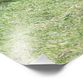 アカギツネのキット フォトプリント            (角)