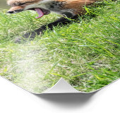 アカギツネのキット フォトプリント            (角)