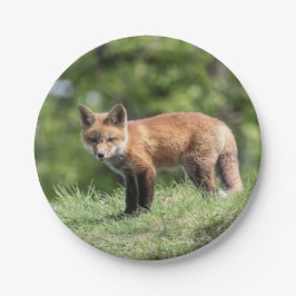 アカギツネのキット ペーパープレート