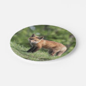 アカギツネのキット ペーパープレート (アングル)