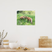 アカギツネのキット ポスター (キッチン)