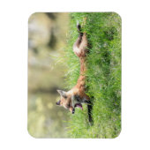 アカギツネのキット マグネット (縦)