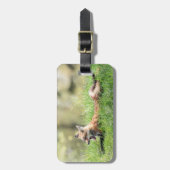 アカギツネのキット ラゲッジタグ (正面縦)