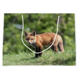 アカギツネのキット ラージペーパーバッグ