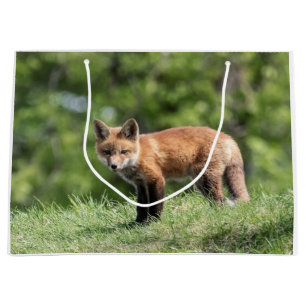 アカギツネのキット ラージペーパーバッグ
