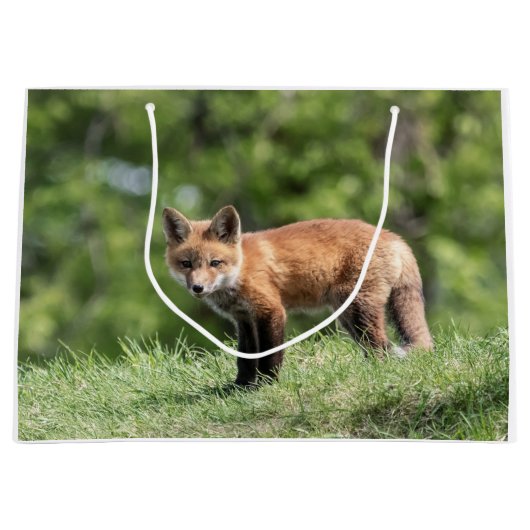 アカギツネのキット ラージペーパーバッグ (正面)