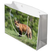 アカギツネのキット ラージペーパーバッグ (裏面アングル)