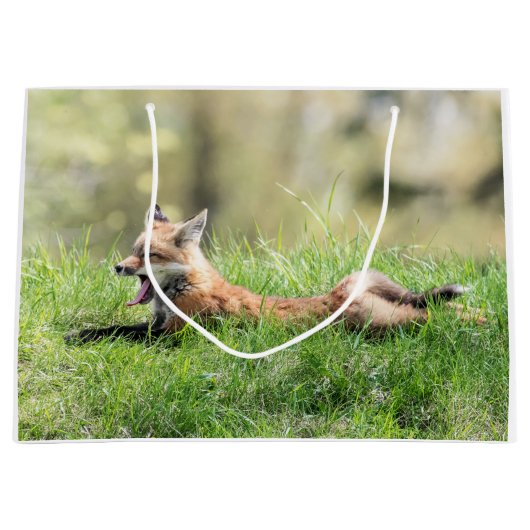 アカギツネのキット ラージペーパーバッグ (正面)