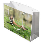 アカギツネのキット ラージペーパーバッグ (裏面アングル)