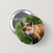 アカギツネのキット 缶バッジ (正面&裏面)