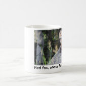 アカギツネの写真のマグ コーヒーマグカップ (中央)