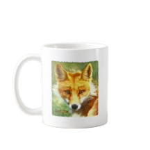 アカギツネの写真