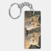 アカギツネの子狐（Vulpes vulpes）巣穴の前 キーホルダー (正面左)
