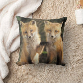 アカギツネの子狐(Vulpes vulpes)巣穴の前 クッション (ブランケット)