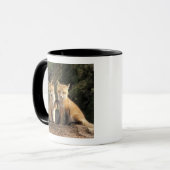 アカギツネの子狐（Vulpes vulpes）巣穴の前 マグカップ (正面左)