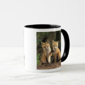 アカギツネの子狐（Vulpes vulpes）巣穴の前 マグカップ (正面右)