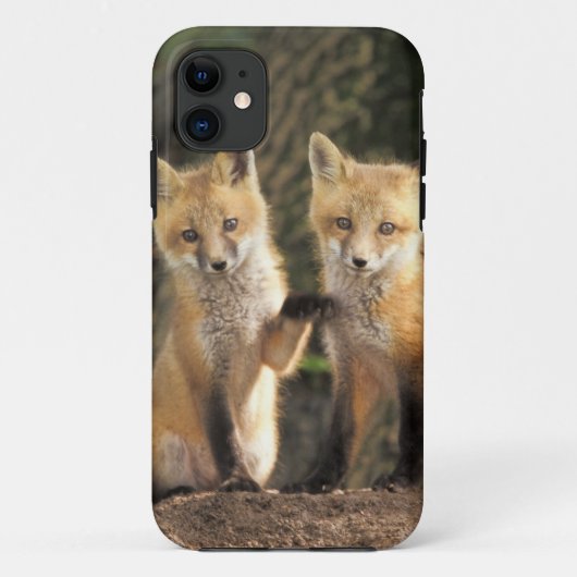 アカギツネの子狐(Vulpes vulpes)巣穴の前 Case-Mate iPhoneケース (裏面)