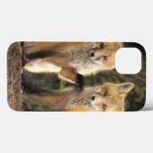 アカギツネの子狐（Vulpes vulpes）巣穴の前 Case-Mate iPhoneケース (裏面 (横))