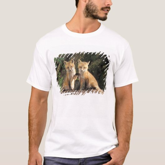 アカギツネの子狐（Vulpes vulpes） Tシャツ (正面)