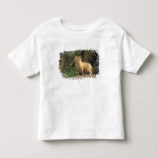 アカギツネの幼獣が巣穴の前で (Vulpes vulpes) トドラーTシャツ (正面)