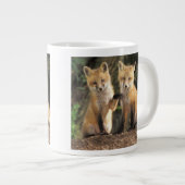 アカギツネの幼獣が巣穴の前にいる (Vulpes vulpes) ジャンボコーヒーマグカップ (正面右)