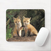 アカギツネの幼獣が巣穴の前にいる (Vulpes vulpes) マウスパッド (マウス)