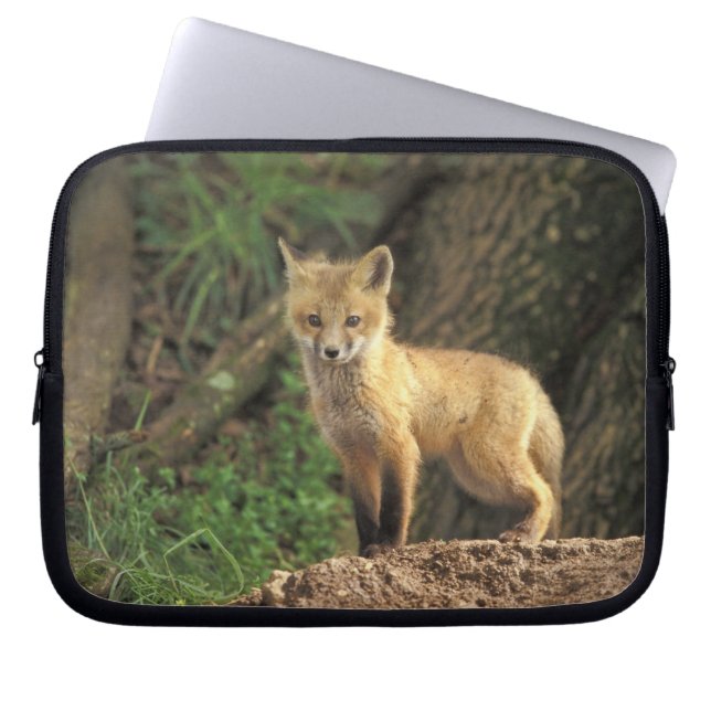 アカギツネの幼獣が巣穴の前にいる (Vulpes vulpes) ラップトップスリーブ (正面)