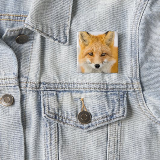 アカギツネの肖像 缶バッジ (インサイチュ)