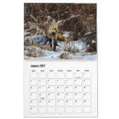 アカギツネの野生動物カレンダー カレンダー (1月 2027)