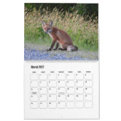 アカギツネの野生動物カレンダー カレンダー (3月 2027)