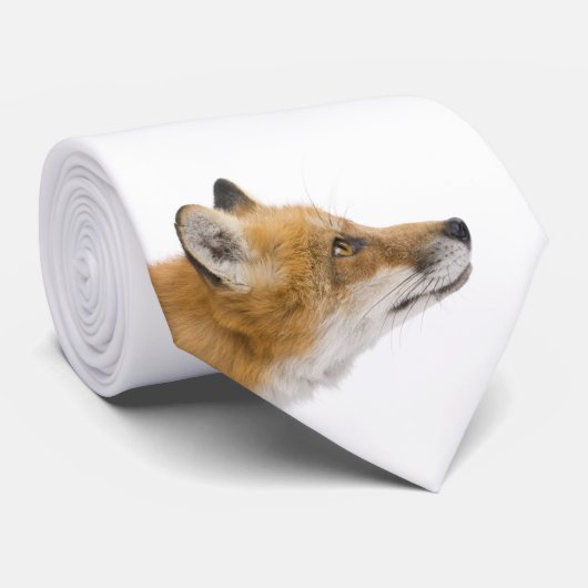 アカギツネ ネクタイ (ロール)