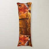 アカギツネ ボディピロー (正面縦)