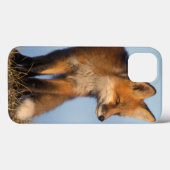 アカギツネ、1002の区域のVulpesのvulpes、の Case-Mate iPhoneケース (裏面 (横))