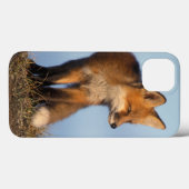 アカギツネ、1002の区域のVulpesのvulpes、の Case-Mate iPhoneケース (裏面 (横))