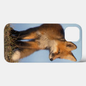 アカギツネ、1002の区域のVulpesのvulpes、の Case-Mate iPhoneケース (裏面 (横))