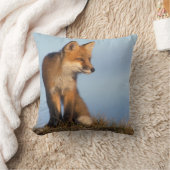 アカギツネ, Vulpes vulpes クッション (ブランケット)