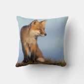 アカギツネ, Vulpes vulpes クッション (裏面)