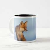 アカギツネ、Vulpes vulpes ツートーンマグカップ (正面左)