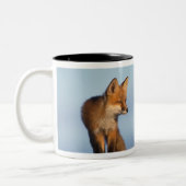 アカギツネ、Vulpes vulpes ツートーンマグカップ (左)