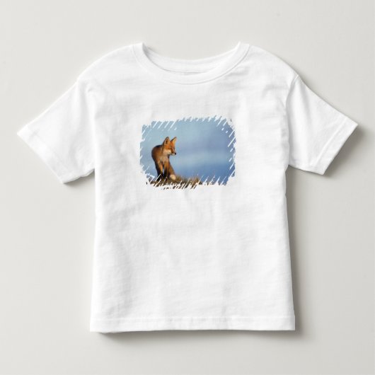 アカギツネ, Vulpes vulpes トドラーTシャツ (正面)
