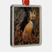 アカギツネ, Vulpes vulpes メタルオーナメント (右)