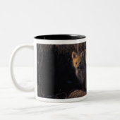 アカギツネ, Vulpes vulpes, 子ギツネ ツートーンマグカップ (左)