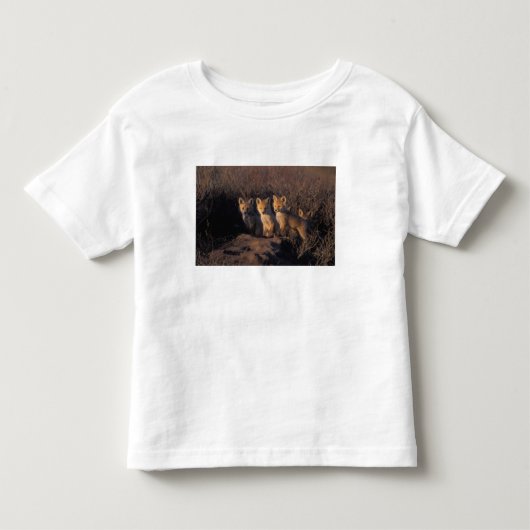 アカギツネ, Vulpes vulpes, 子ギツネ トドラーTシャツ (正面)