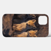 アカギツネ, Vulpes vulpes, 子ギツネ Case-Mate iPhoneケース (裏面 (横))