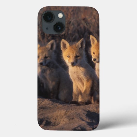 アカギツネ, Vulpes vulpes, 子ギツネ Case-Mate iPhoneケース (裏面)