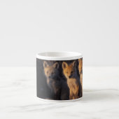 アカギツネ, Vulpes vulpes, 子狐 エスプレッソカップ (正面)