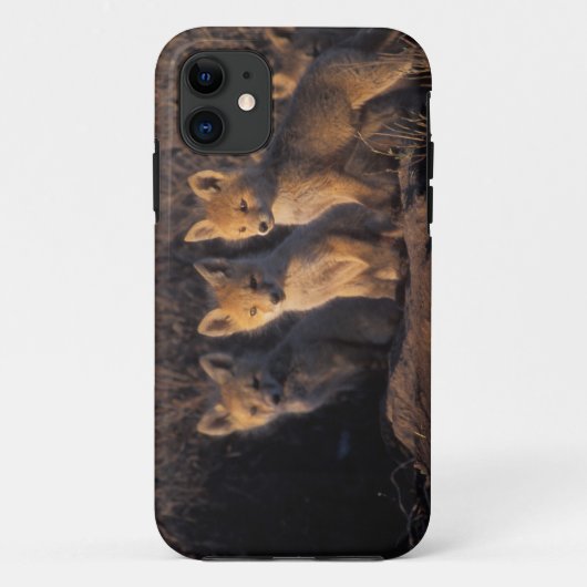 アカギツネ, Vulpes vulpes, 子狐 Case-Mate iPhoneケース (裏面)